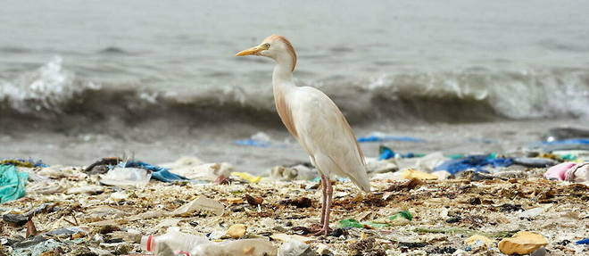 Si rien n'est fait, d'ici a 2060, la consommation de plastiques sera de 1 231 millions de tonnes, generant 1 014 millions de tonnes de dechets.
