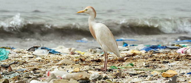 Si rien n'est fait, d'ici à 2060, la consommation de plastiques sera de 1 231 millions de tonnes, générant 1 014 millions de tonnes de déchets.
