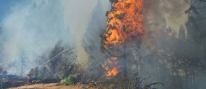 Le feu a brule pres de 25 hectares de bois de la base au sommet d'une montagne (photo d'illustration).

