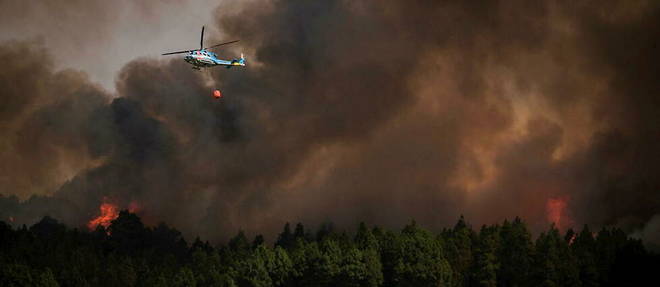 Depuis le debut de l'annee, plus de 220 000 hectares sont partis en fumee a la suite d'incendies en Espagne. (image d'illustration)
