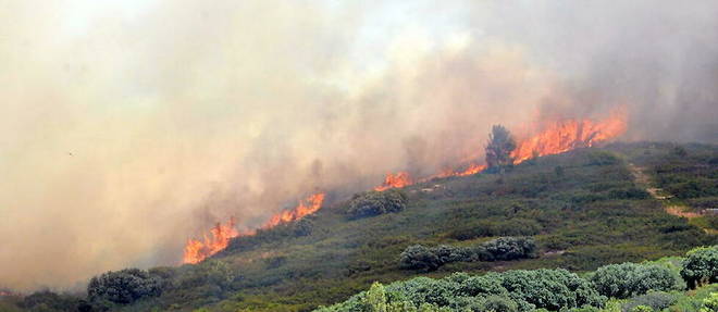 Les incendies ont ravage 47 361 hectares de foret en France depuis le debut de l'annee.
