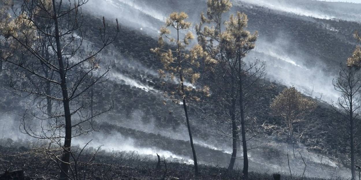 Incendies En Bretagne Plus De 300 Hectares Brûlés Dans Le Finistère Et