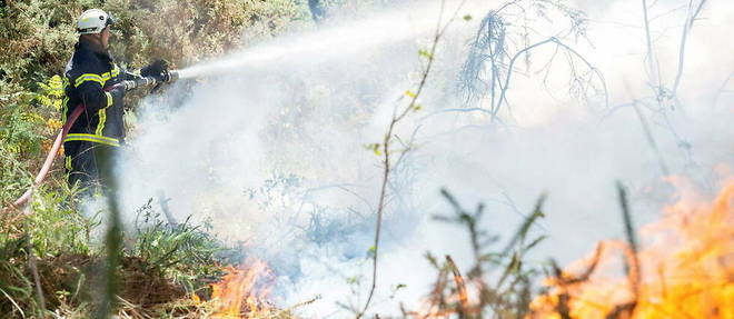Un incendie a la lisiere de la Lozere et de l'Aveyron a ravage au moins 700 hectares mardi matin, entrainant l'evacuation de 1 200 personnes. (image d'illustration)
