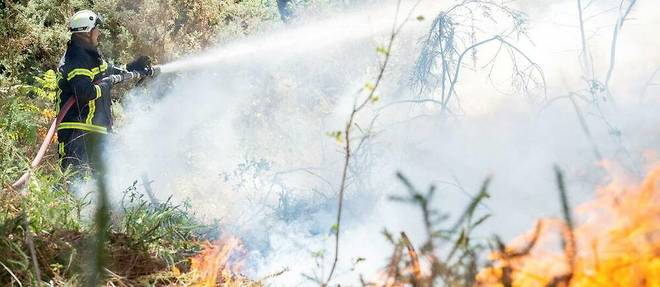 Un incendie a la lisiere de la Lozere et l'Aveyron a ravage au moins 700 hectares mardi matin, entrainant l'evacuation de 1 200 personnes. (image d'illustration)
