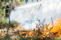 Un incendie à la lisière de la Lozère et de l'Aveyron a ravagé au moins 700 hectares mardi matin, entraînant l'évacuation de 1 200 personnes. (image d'illustration)
