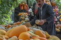 En Irak, l'agriculteur kurde qui met les r&eacute;seaux sociaux au vert