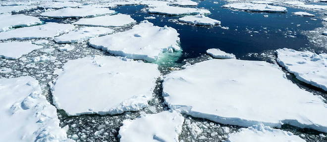 La superficie de la banquise de l'Antarctique a enregistre en juillet son niveau le plus bas depuis 44 ans.

