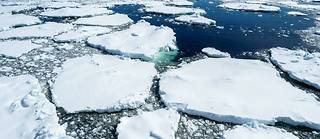 La superficie de la banquise de l'Antarctique a enregistré en juillet son niveau le plus bas depuis 44 ans.
