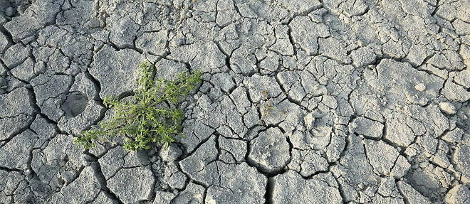 Les deux départements de Corse ont été placés en niveau d’alerte sécheresse renforcée par les services de l’État.
