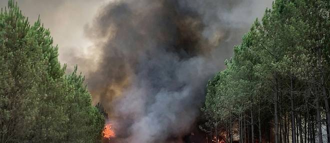 Reprises d'incendies pres de Landiras, en Gironde: 6.000 hectares brules