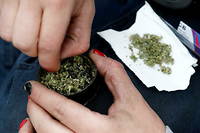 31 senateurs socialistes demandent la legalisation du cannabis.
