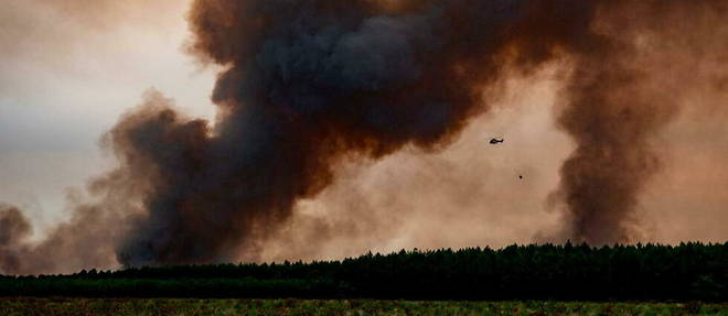 6 800 hectares de forets de pins etaient partis en fumee selon le dernier bilan du gigantesque incendie de Landiras, en Gironde. 