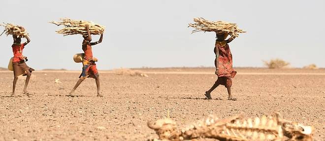 Somalie: un million de personnes deplacees par la secheresse