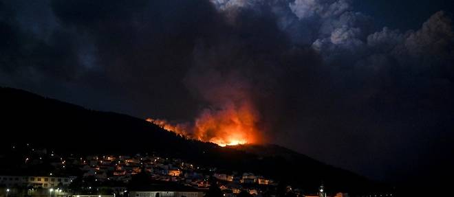 Portugal: 10.000 hectares partis en fumee dans une region protegee