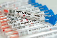 Selon l'OMS, la plupart des contaminations sont concentrées en Europe, où se trouvent 70 % des 18 000 cas de variole du singe détectés depuis début mai et 25 % dans les Amériques.
