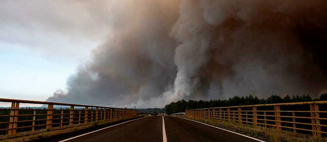 Les incendies se poursuivent vendredi dans l'Hexagone, ou pres de 60 000 hectares ont brule depuis le debut de l'annee (image d'illustration). 