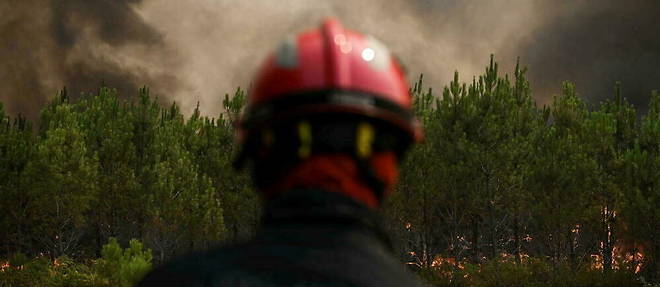 Les incendies se poursuivent vendredi dans l'Hexagone, ou pres de 60 000 hectares ont brule depuis le debut de l'annee (image d'illustration).
