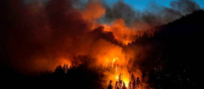 Plus de 660 000 hectares ont brule depuis janvier dans les pays de l'Union europeenne.
