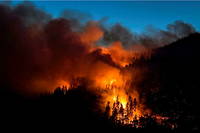 Plus de 660 000 hectares ont brûlé depuis janvier dans les pays de l’Union européenne.

