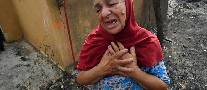 Algerie: 38 morts dont des familles entieres dans des incendies desormais "sous controle"