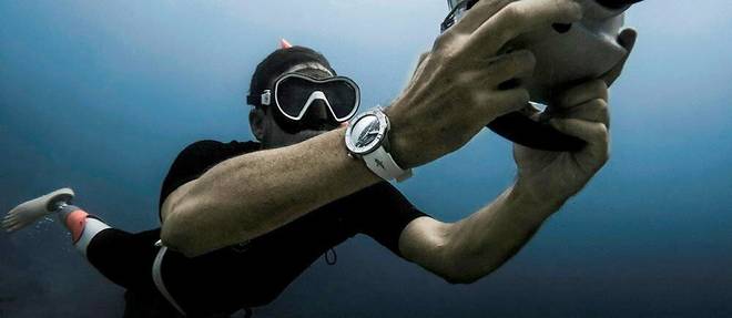  Fervent protecteur des squales, le photographe Mike Coots, ampute a la suite d'une attaque de requin, porte une Diver Chronograph Great White. 