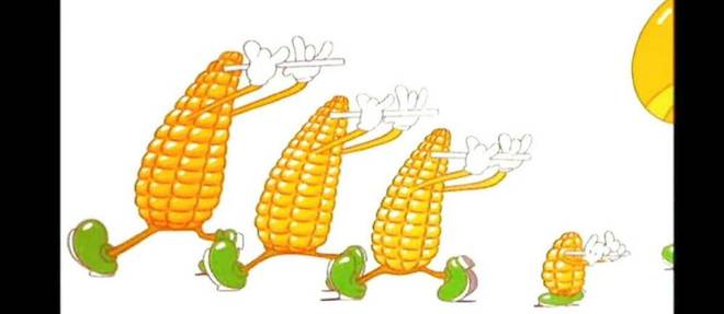 Oui les maïs défilent aux accords d'une marche viennoise.

