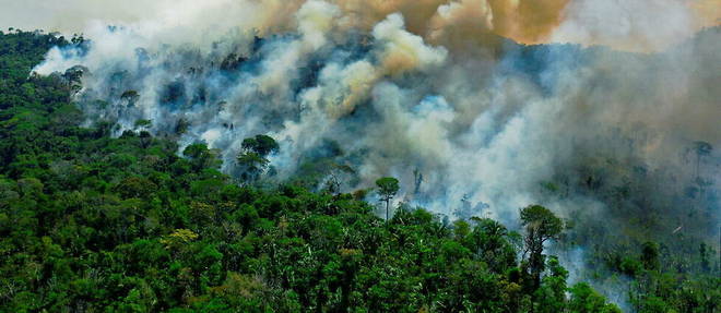 La foret amazonienne est en proie aux flammes. (illustration)
