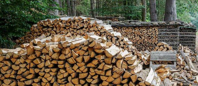 La forte demande en bois de chauffage a entraine une penurie et le prix moyen a quasiment double depuis janvier 2021, passant de 238 euros a 431 euros la tonne en juin cette annee.
