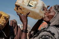 La s&eacute;cheresse dans la Corne de l'Afrique menace de famine 20 millions de personnes