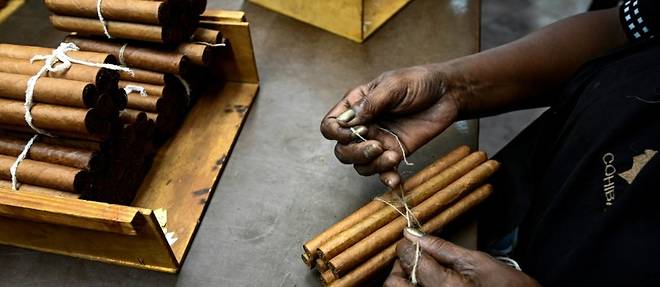 Cuba: la fabrique des cigares de Castro perpetue la tradition d'excellence
