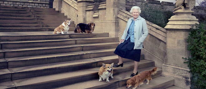 Elizabeth II pose a Windsor avec ses chiens pour son 90e anniversaire, en 2016.  
