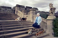 Elizabeth II pose à Windsor avec ses chiens pour son 90 e  anniversaire, en 2016.  

