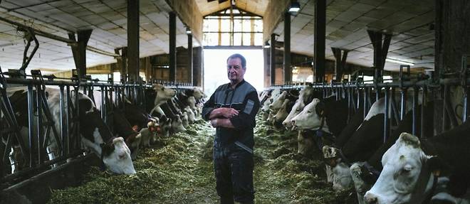 Exploitation laitiere cherche repreneurs desesperement
