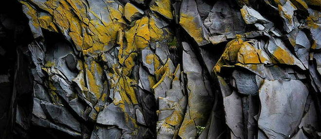 Sur le segment des terres et metaux rares, l'Algerie a de serieux atouts a faire prevaloir.