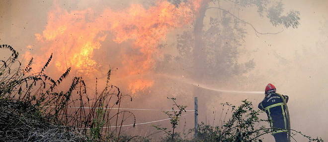 Plusieurs incendies se sont  declares en Charente, brulant ce jeudi plus de 400 departs de feu.
