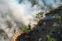 Br&eacute;sil&nbsp;: l&rsquo;Amazonie subit un nombre record d&rsquo;incendies