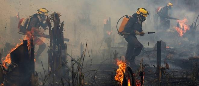 Bresil: plus d'incendies en Amazonie depuis janvier que sur toute l'annee 2021