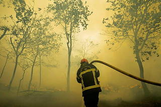  L’incendie survenu en forêt de Brocéliande (Morbihan), le 12 août, a détruit 400 hectares.  ©MATHIEU PATTIER/SIPA
