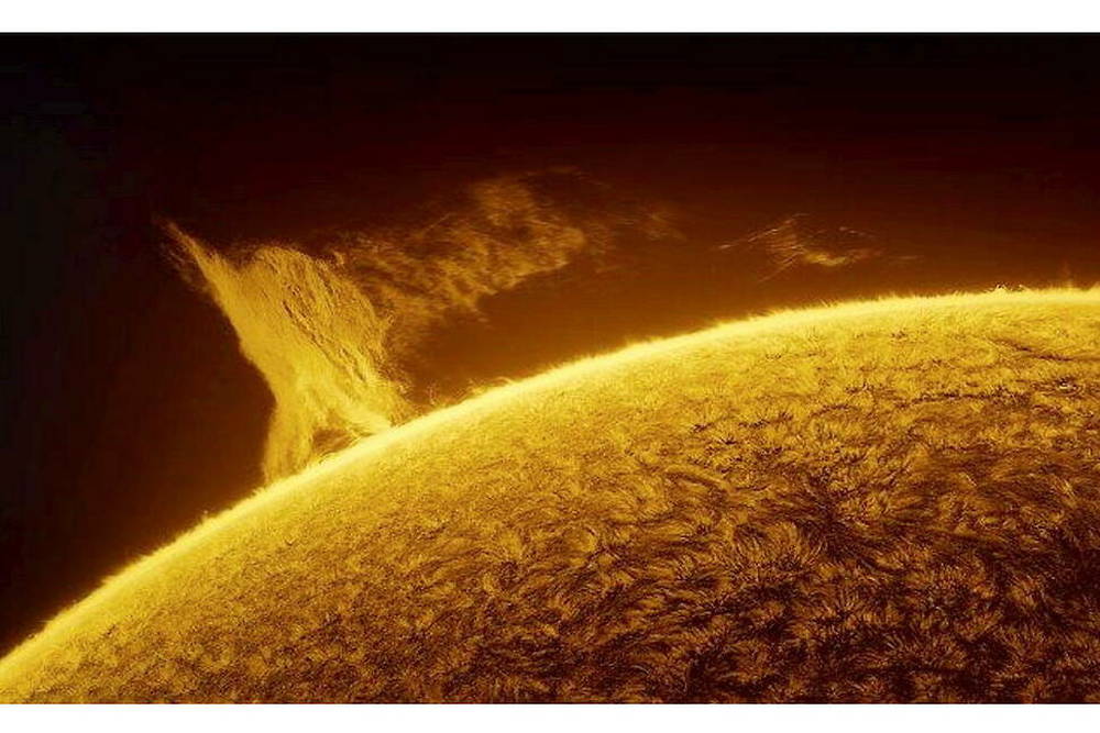 A Giant in the Sun's Limb