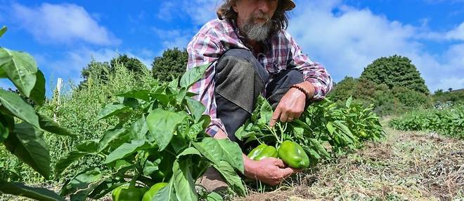 Des agriculteurs du sud de la France sur de nouvelles pistes pour contrer la secheresse