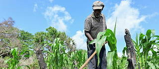 Le Kenya fait partie des pays de la Corne de l'Afrique faisant face à une période de sécheresse prolongée qui a aggravé la faim, la malnutrition et la perte de moyens de subsistance chez les agriculteurs et éleveurs de subsistance.
