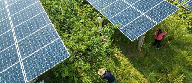 Des panneaux solaires dans un champ a Bijie, dans la province du Guizhou, dans le sud-ouest de la Chine, le 16 aout 2022.
