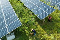 Des panneaux solaires dans un champ à Bijie, dans la province du Guizhou, dans le sud-ouest de la Chine, le 16 août 2022.
