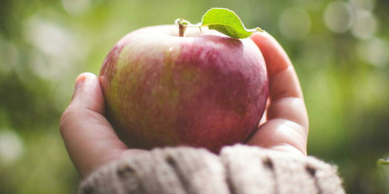 Une pomme par jour éloigne le docteur ? - nutriting