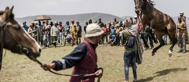 Au Lesotho, les folles courses a cheval dans les montagnes