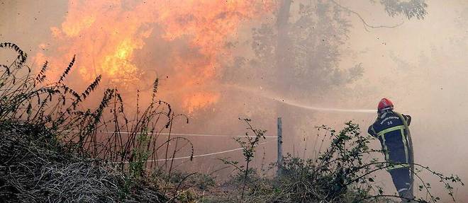 Apres les violents incendies de l'ete qui ont ravage 72 000 hectares a travers le territoire, Emmanuel Macron a promis vendredi la plantation d'<< un milliard d'arbres >> durant la prochaine decennie (image d'illustration).
