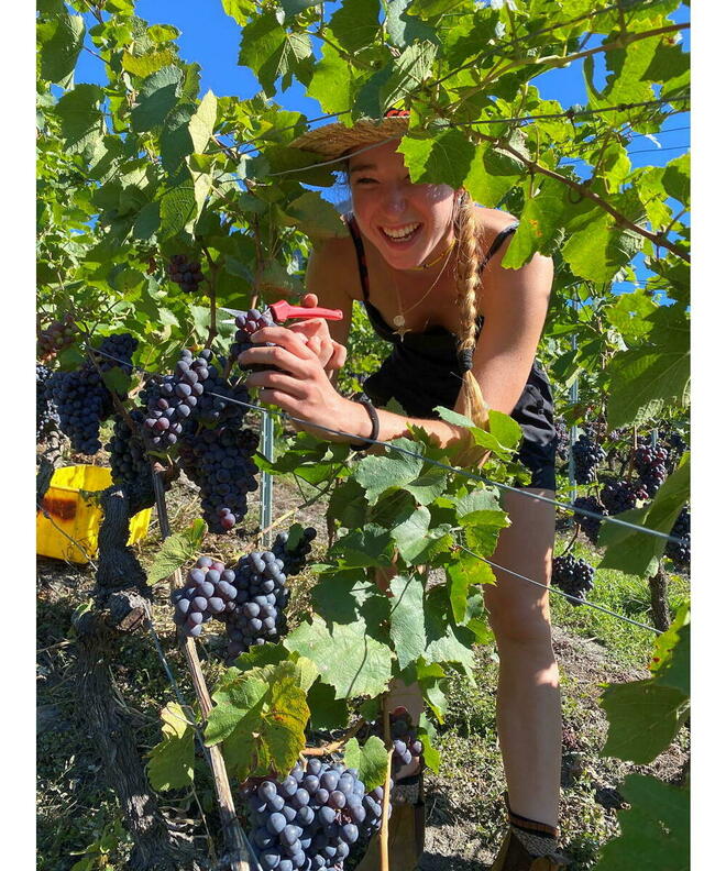 World Wine Women-vignobles dumonde-Suisse-viticulture-climat ©  World Wine Women