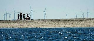 Les investissements publics liés à la transition énergétique vont augmenter dans les années qui viennent – ici des éoliennes du parc de Saint-Nazaire (Loire-Atlantique).
