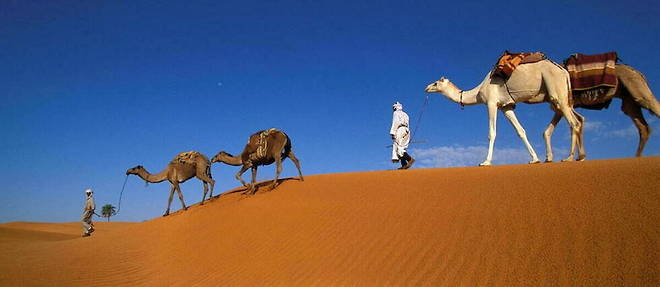 Forte d'etendues desertiques a couper le souffle, l'Algerie a de serieux atouts touristiques qu'elle semble vouloir exploiter. Ici, une vue de la region de Timimoun en donne une idee. 
