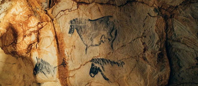 Les animaux peints de la grotte Cosquer, a Marseille (Bouches-du-Rhone). Les premiers hominides avaient une conscience de la nature bien plus affutee que celle que nous avons tendance a leur attribuer.
